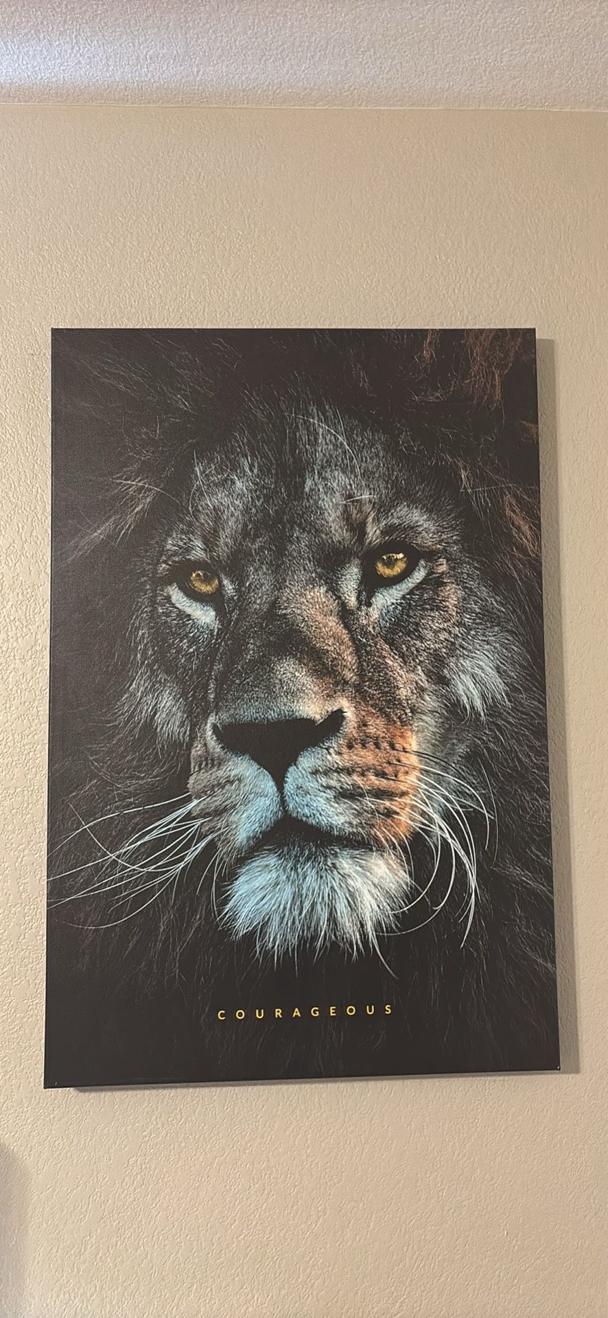 Lion Canvas Picture