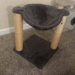 Cat Rest Post