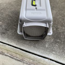 Dog Cage 