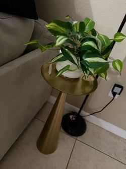 Gold Truitt Drink Table with Plant