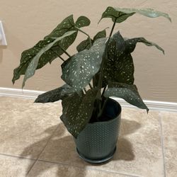 Faux 20” Plant With 8” Pot 