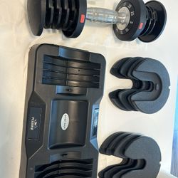 Flybird 25lb Adjustable Dumbbell 1 Set 