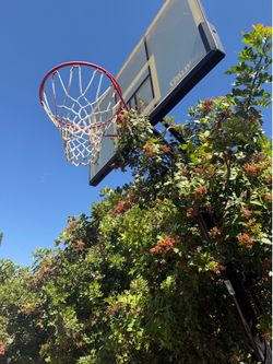 Basketball court