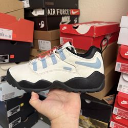 Nike SB Supreme Darwin Low