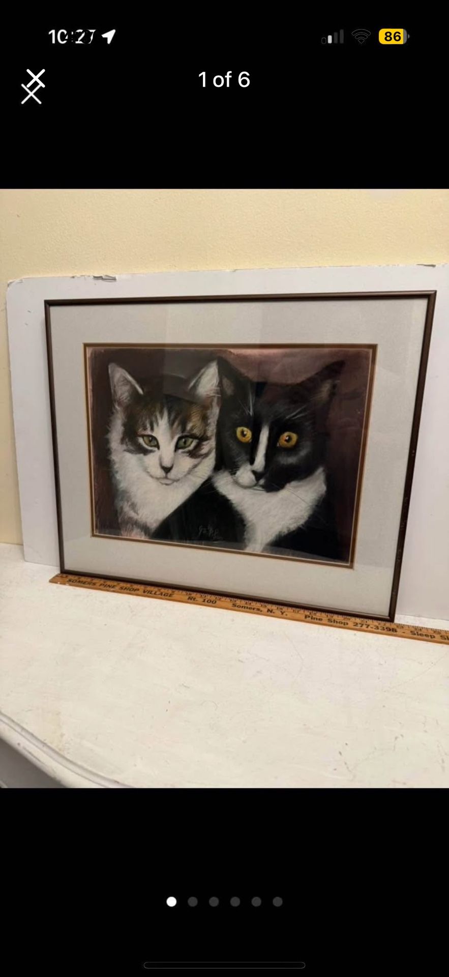Signed Cat Painting