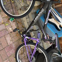 Mountain Bike