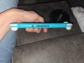 Switch lite