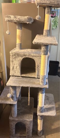 Cat Gym Tower