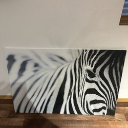 Zebra Rug And Zebra Picture. 