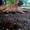 Aby