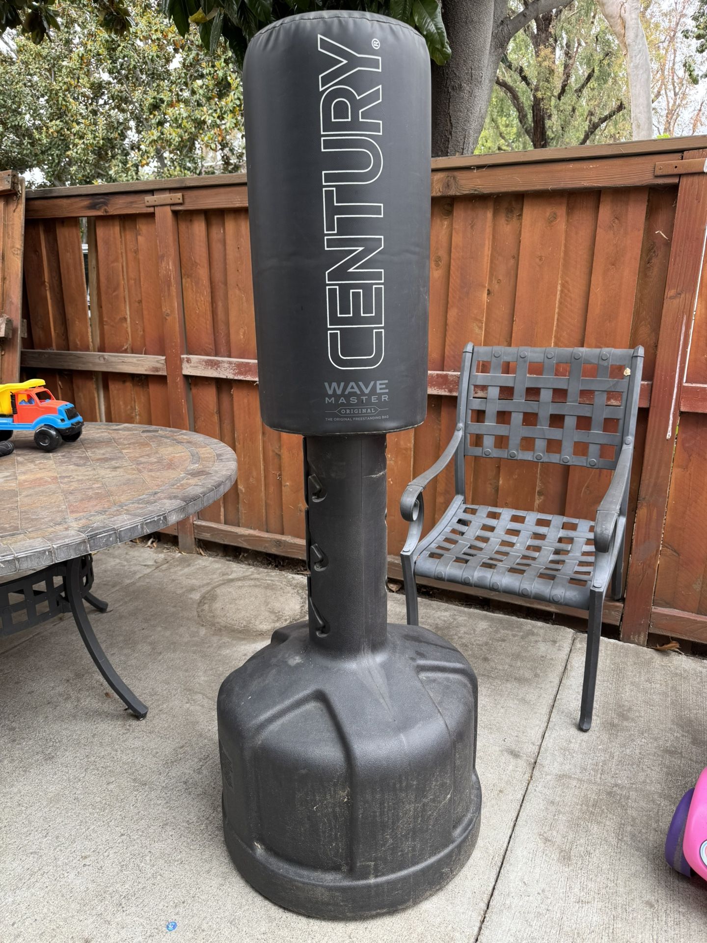 Century Punching Bag