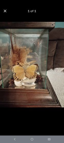 Butterfly decor