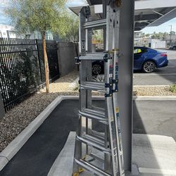 Werner Multi-Position Pro Ladder