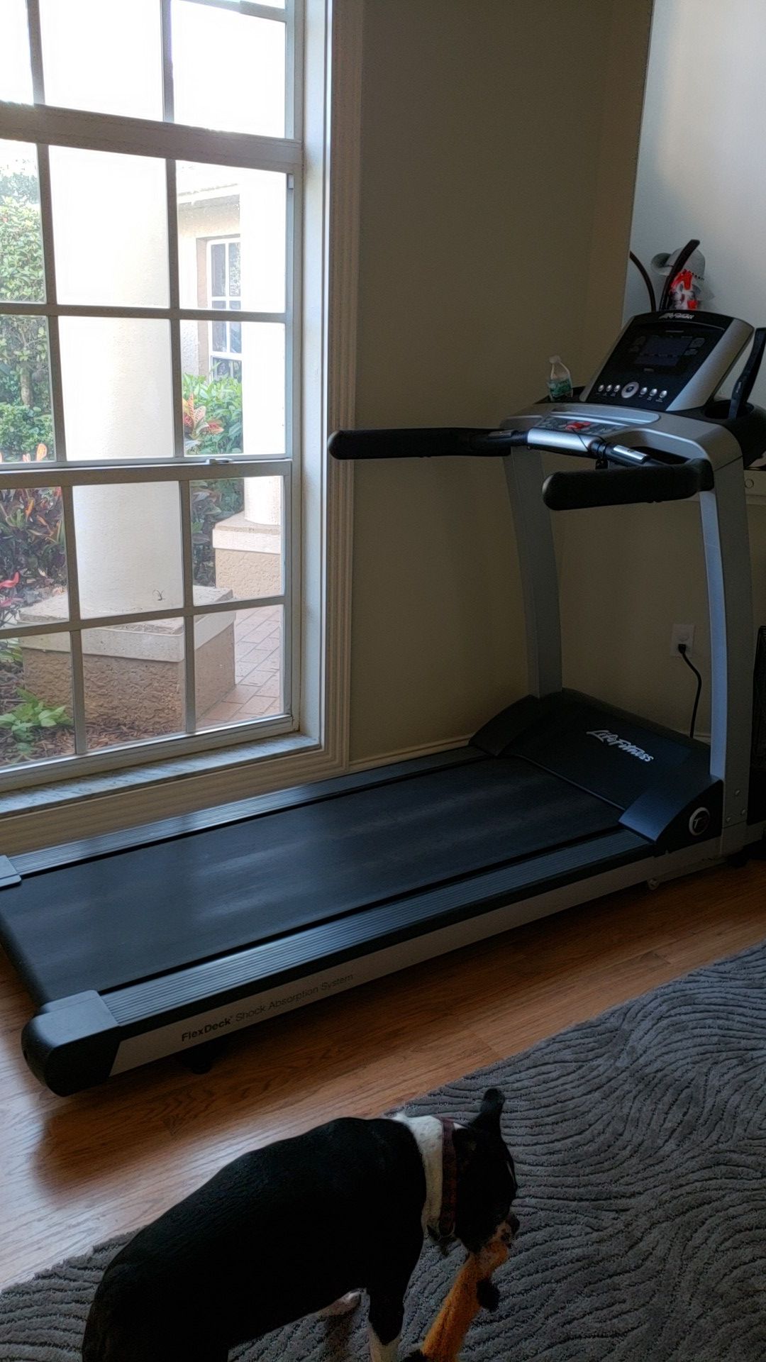 Life Fitness treadmill with advanced workout modes and incline.