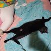 Lacie