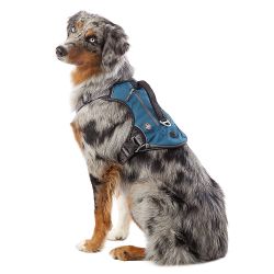 Expendable Backpack Dog Harness [Like new]