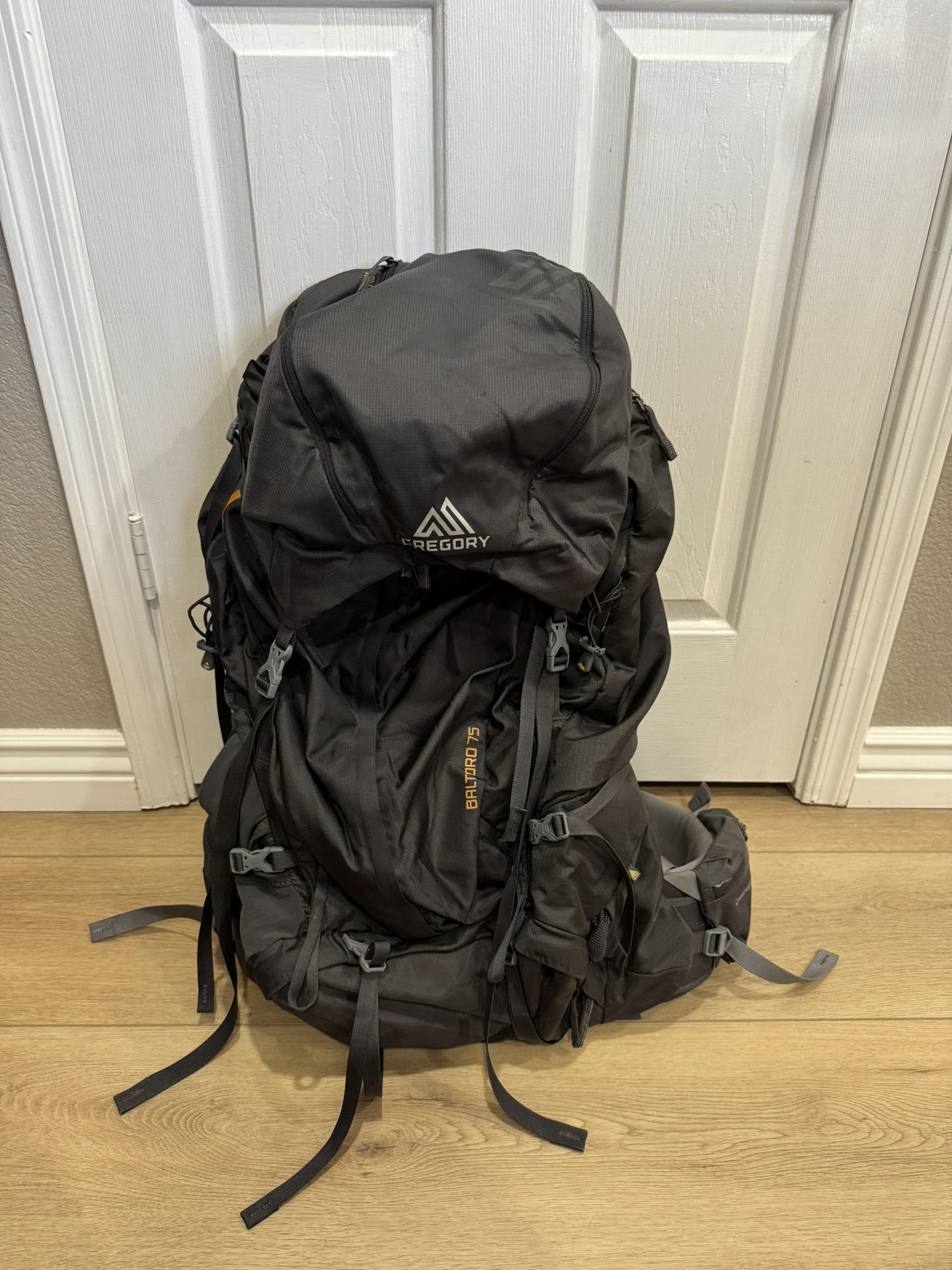 Gregory Baltoro 75L Backpacking Pack