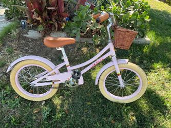16’Aceger beach cruiser bike in great shape