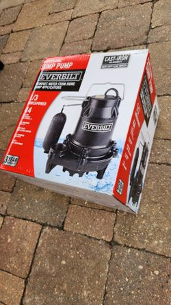 Everbilt Sump pump