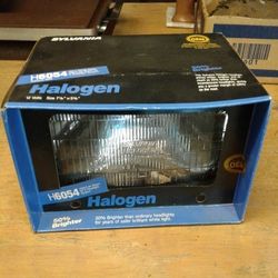 Halogen Headlight 