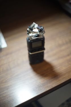 Zoom H5