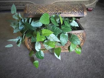 Artificial plant decorations