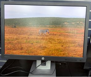 HP EliteDisplay Monitor 24”