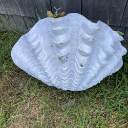 GIANT PLASTER CLAM SHELL 