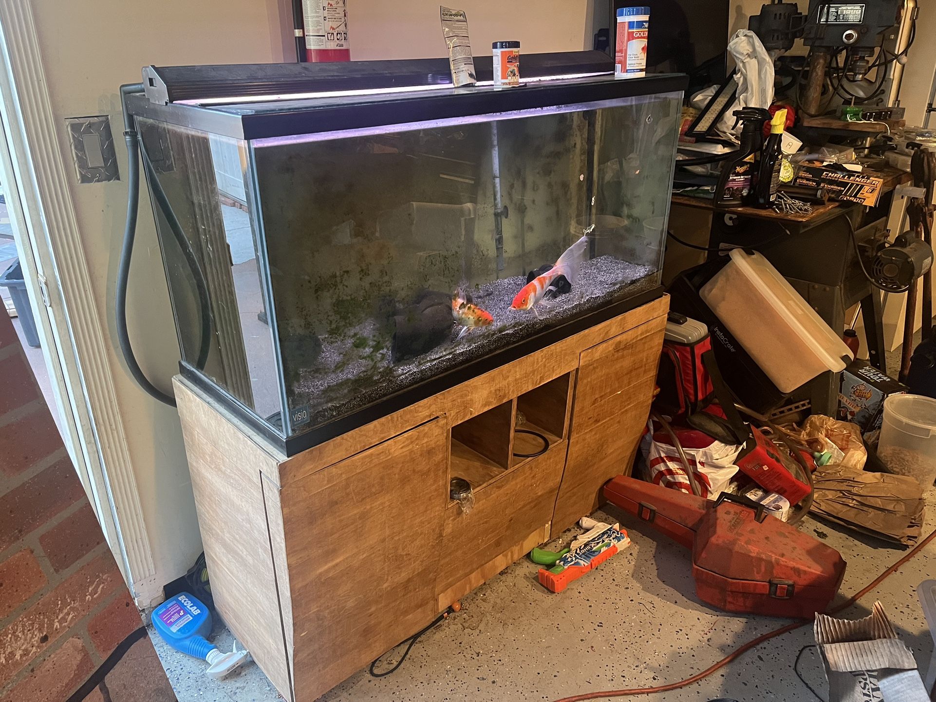 Complete 80-Gallon Fish Tank Setup