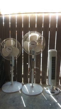 Los 3 $50