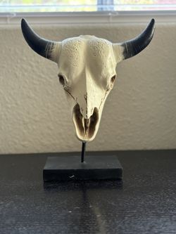 Home decor Cow skull