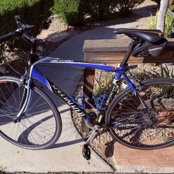 Specialized Carbon Road Bike