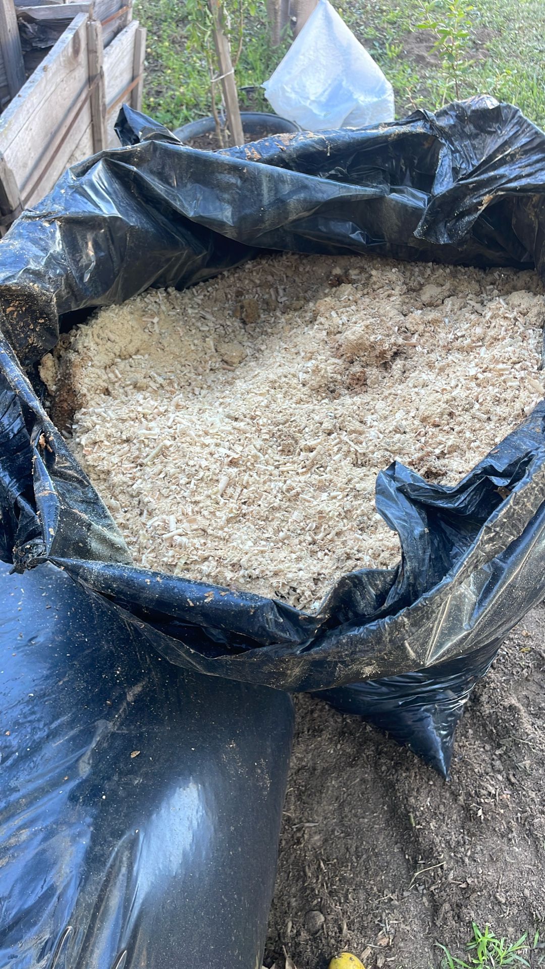 aserrin para secar aseite 10 la bolsa o 30 por las 4  