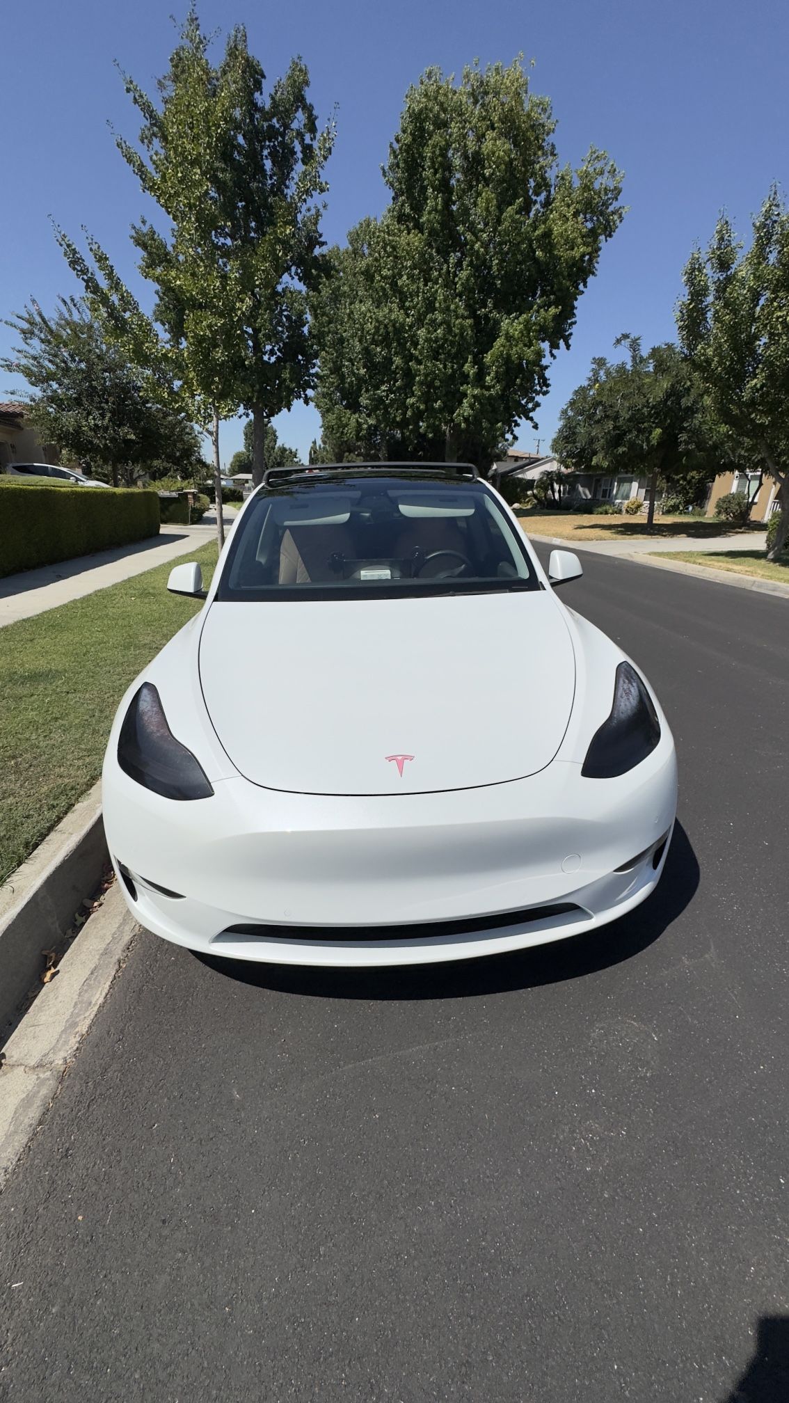 2021 Tesla Model Y Performance – New Rims & Tires
