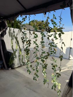 Artificial rose flowers vines
