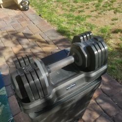 Initial force Dumbbell Only One 