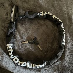 Kryptonite Bike Lock