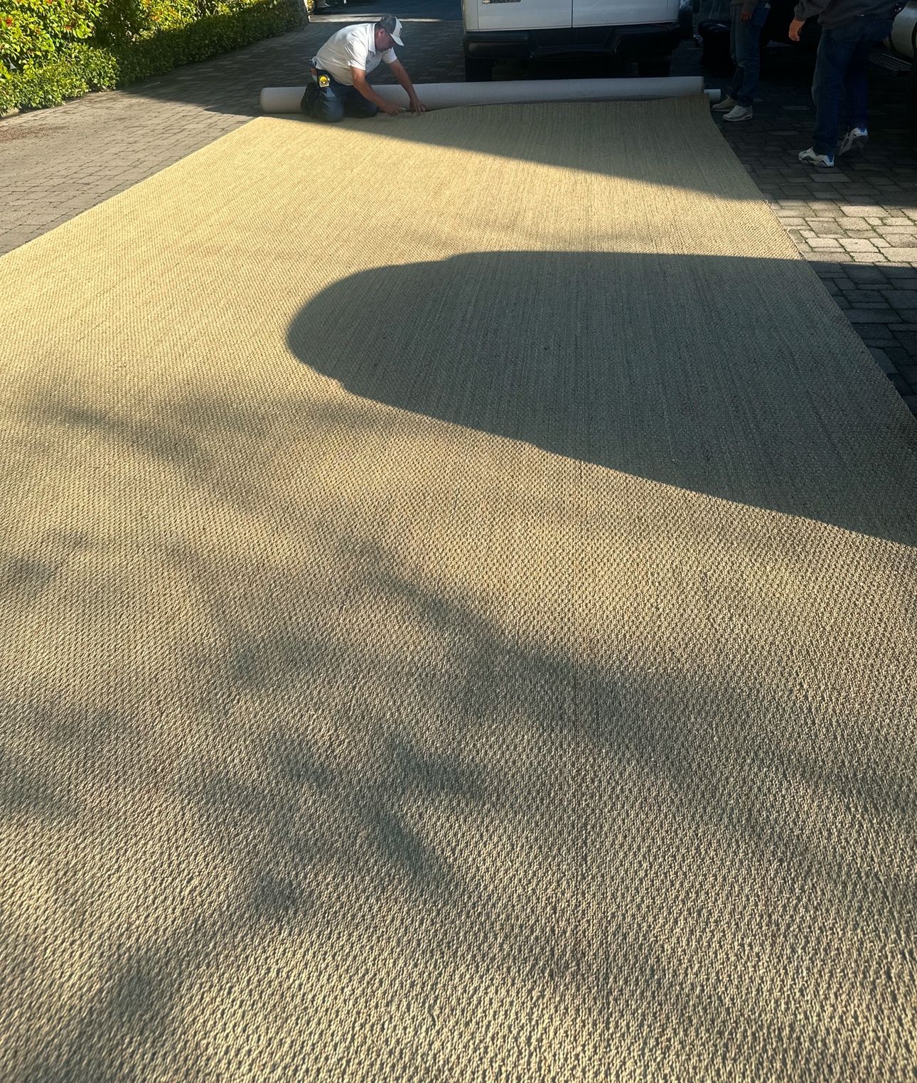 Carpet sisalLVTArea Rug