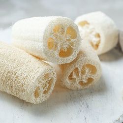 Luffa Gourds from Burpee