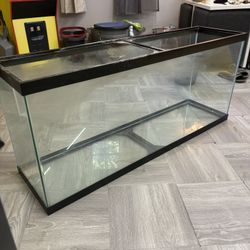 55 Gallon Aquarium With Black Stand 