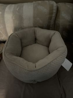 Small Dog/cat Bundle 