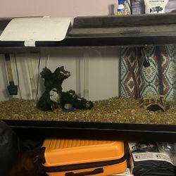 40 Gallon Fish Tank With Metal Stand