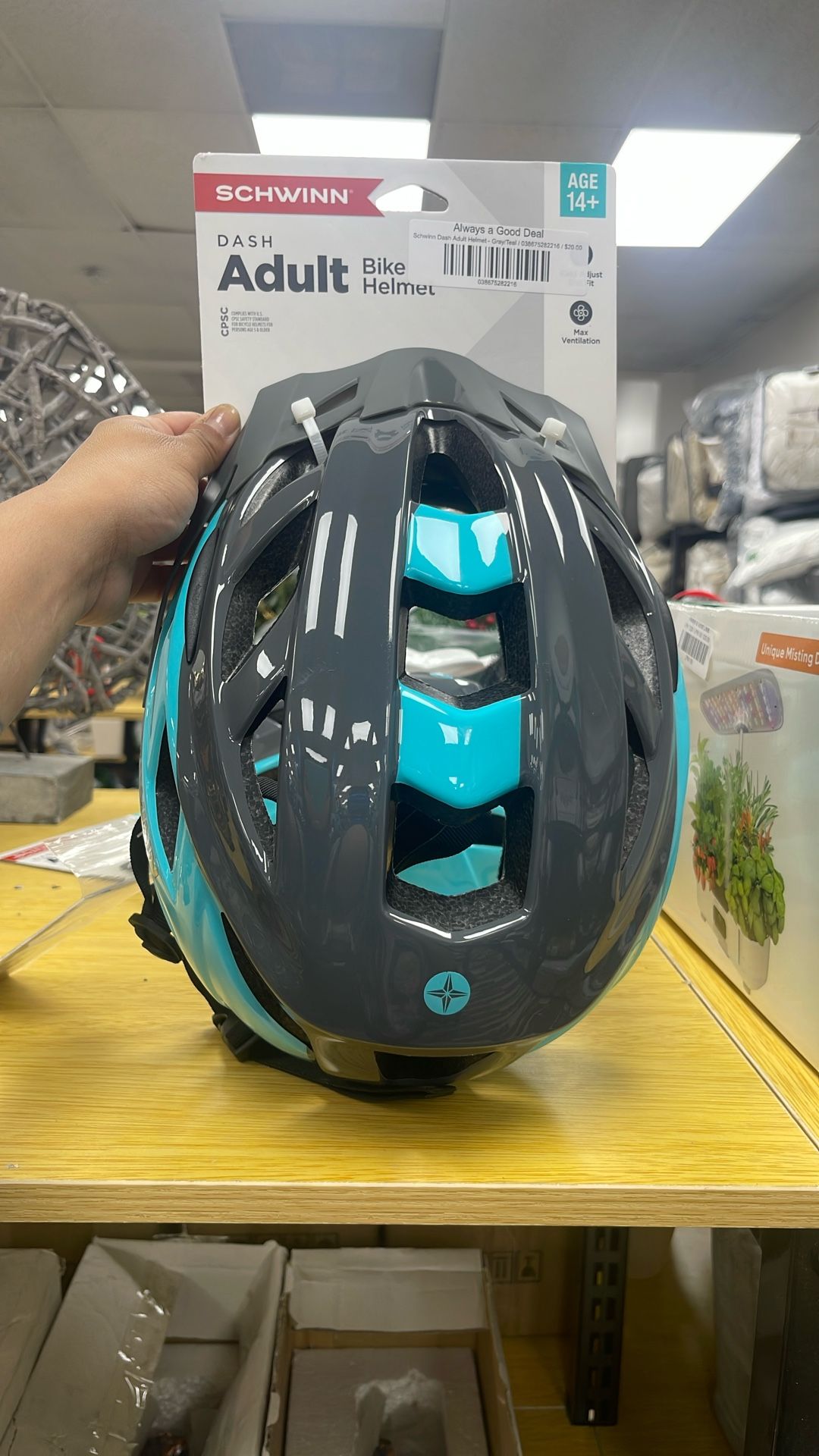 SCHWINN Dash Adult Bike Helmet/ Teal