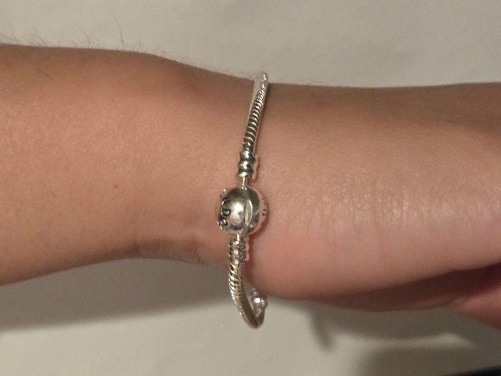 Pandora Like Bracelet