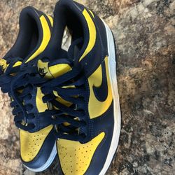 Nike Dunk Low Michigan Cash Only
