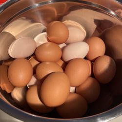 Fresh Eggs For Sale $6 Dozen 