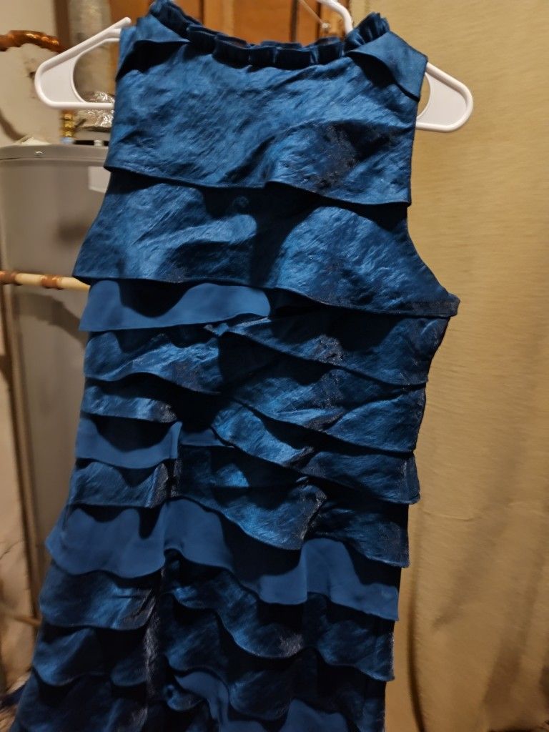 S.L. Fashions Dress Size 10 Petite