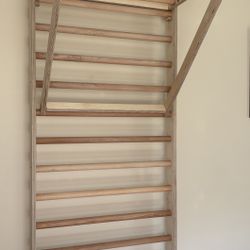 Beyond Balance Swedish Ladder Workout