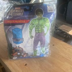 Yes, Available, Super hero, Deluxe Hulk Halloween Costume