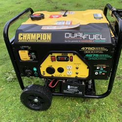 Champion Dual Fuel Generator 